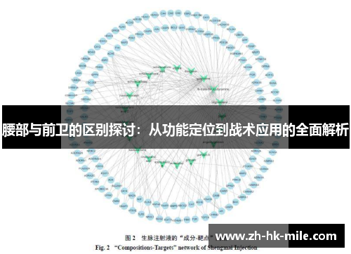 腰部与前卫的区别探讨:从功能定位到战术应用的全面解析 腰部与前卫的区别探讨:从功能定位到战术应用的全面解析