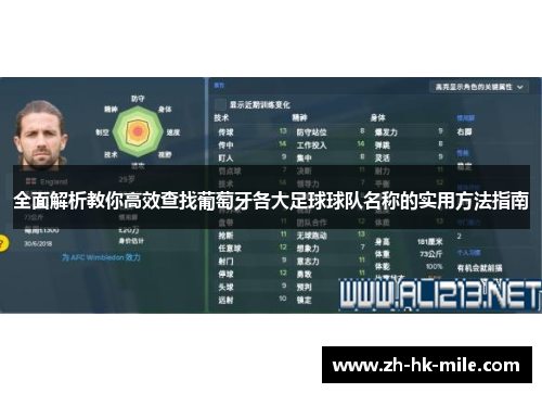 全面解析教你高效查找葡萄牙各大足球球队名称的实用方法指南 全面解析教你高效查找葡萄牙各大足球球队名称的实用方法指南