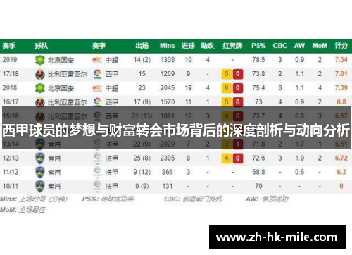 西甲球员的梦想与财富转会市场背后的深度剖析与动向分析