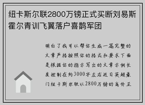 纽卡斯尔联2800万镑正式买断刘易斯霍尔青训飞翼落户喜鹊军团